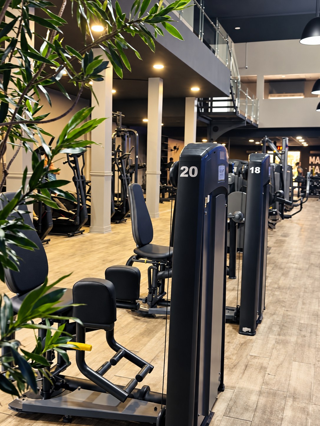 Corredor de máquinas de musculação com plantas